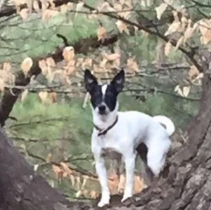 Meet your Posher, Cheryl